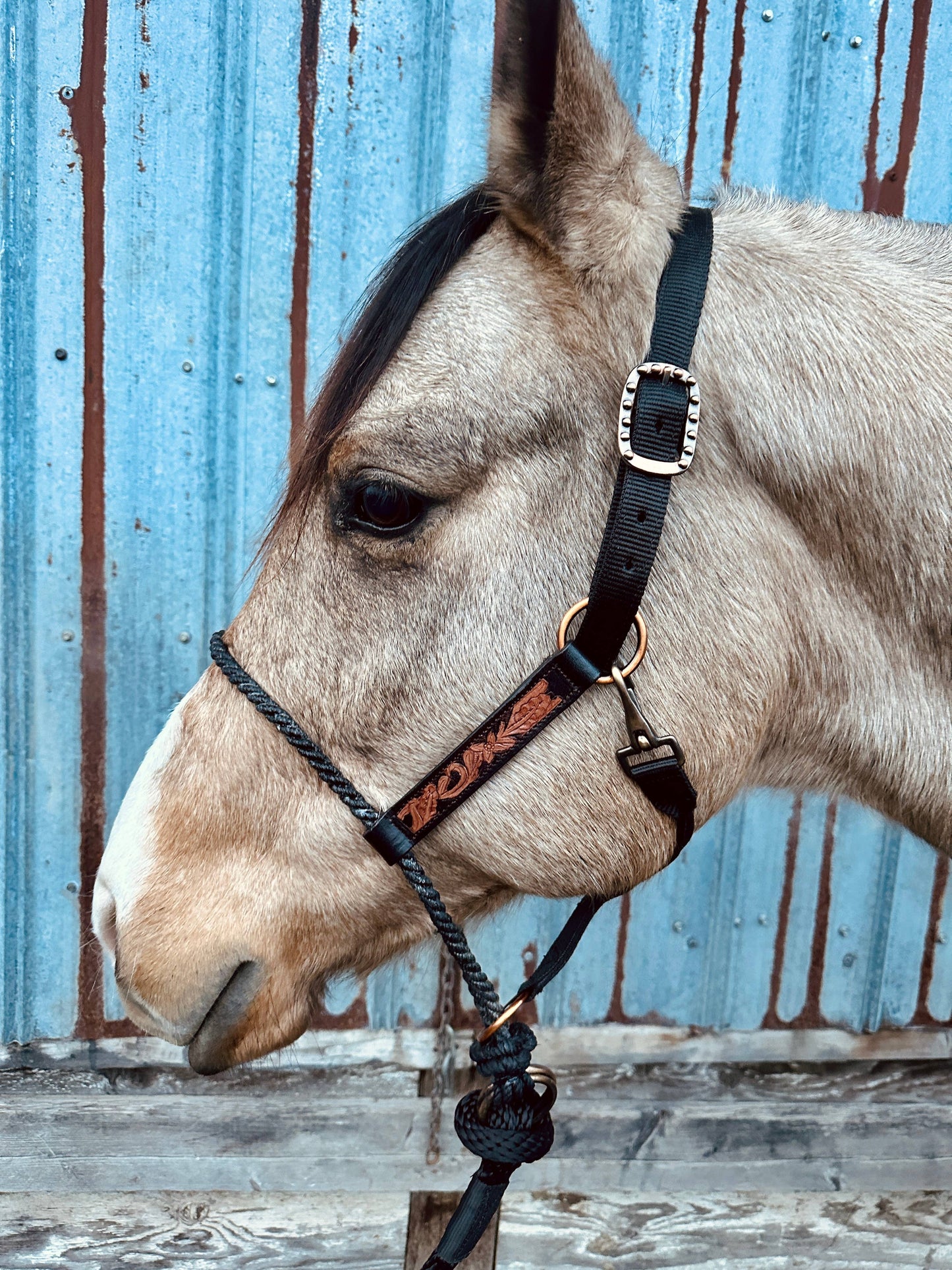 Lariat Nose Halter