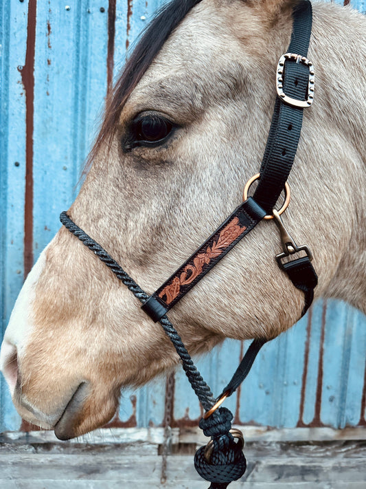 Lariat Nose Halter