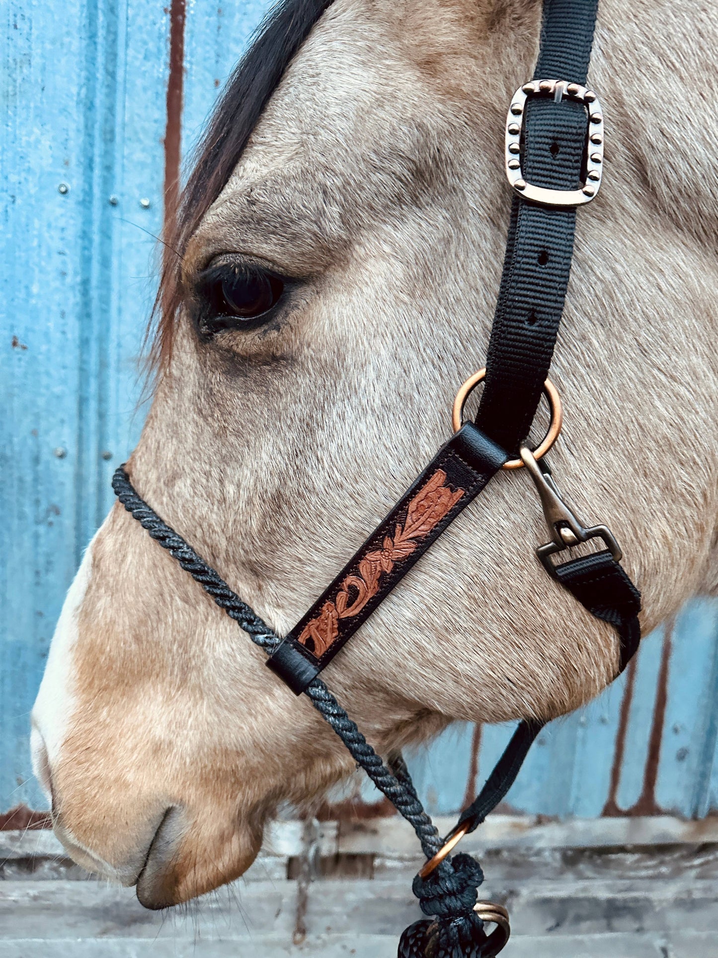 Lariat Nose Halter