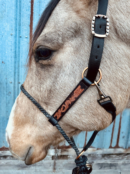 Lariat Nose Halter